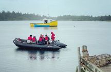 Zodiac Coastal Tour in Lunenburg