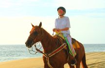 Horseback Riding Beach and Desert Adventure