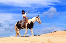 Horseback Riding Beach and Desert Adventure