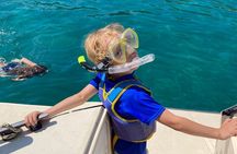 Private Half-Day Boat Tour with Snorkeling and Drinks 