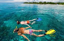Private Half-Day Boat Tour with Snorkeling and Drinks 