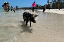 Nassau 3-stops: Snorkeling, Swimming Pigs, Turtles & Lunch