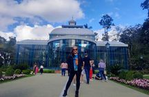 Petropolis: The Imperial City with Lunch