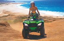 Create your COMBO: Choose 2 of the Best Tours in CABO