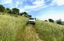  Safari Jeep Wild Adventure