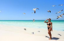 Holbox Exclusive Full Day Tour