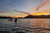 Bioluminescence Kayak Tour - Est. 1994