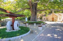 2-Hour Guided Walking Tour in Mlini