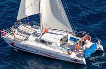 2-Hour Catamaran Snorkel Adventure in Waikiki