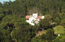 Luxury Tangier Private Day Tour from Estepona All inclusiv vip