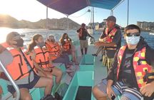Glass Bottom Boat To the Famous Arch Of Cabo