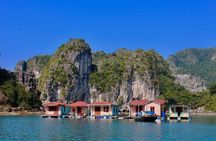 Ha Long Bay Day Cruise, Cave, Kayaking, Swimming, Bus & Lunch