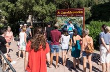 2-Hour Guided Walking Tour in Mlini