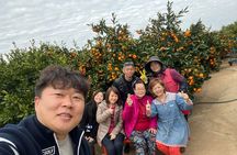 Small group tour FULL - PACKAGE Tour to All Areas in Jeju Island