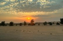 Private Overnight Camping in Liwa with BBQ Dinner & Breakfast