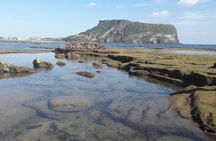 Jeju Private Half-Day Tour - UNESCO SITE Seongsan illchulbong