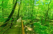 Podgorica Day Trip to North - Biogradska Gora National Park 