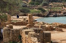 Private Day Tour to the Roman Ruins of Tipaza
