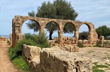Private Day Tour to the Roman Ruins of Tipaza