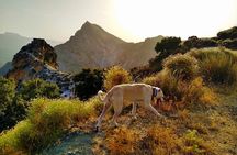  NEW: Sunset Hike & Summit Sierra Nevada - Private Tour with pup