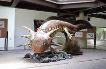Xochimilco The island dolls and Axolotl museum from Mexico City