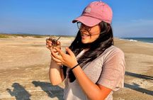 Full Day Tour Turtle Release and Bioluminescence