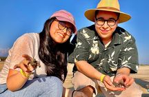 Full Day Tour Turtle Release and Bioluminescence