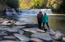 Coffee Hike to Three Waterfalls in DuPont State Forest