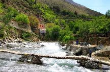 7 Days / 6 Nights Private Morocco Tour from Casablanca or Rabat