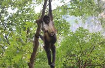 Day trip to Sian Ka'an Biosphere from Playa del Carmen