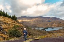 Private Luxury Ring of Kerry & Kerry Cliffs Tour from Killarney