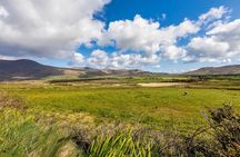 Personalized Full-Day Dingle Peninsula and Slea Head Drive Tour