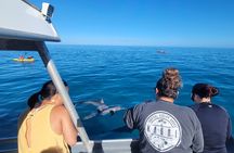 'Imiloa Express Nā Pali Snorkel Tour 