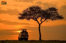 4-Day Private Masai Mara Kenya Safari Tour 