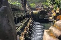 Sacred Spring Experience - Ubud Tour