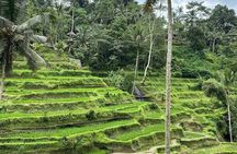 Sacred Spring Experience - Ubud Tour