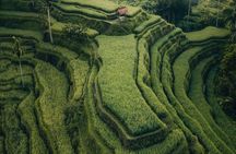 Ubud : Hidden Gems Waterfalls and Private tour