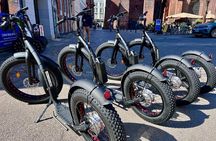 Copenhagen Segway Tour 2 Hours w. Guide