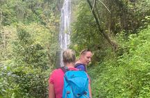 Swim to Materuni and Kikuletwa Hotspring 
