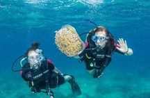 Chania Boat Tour: Snorkeling & Scuba Dive for Beginners