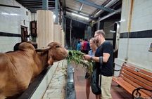 Private Guided Walking Tour of Street Markets (Bazaars)