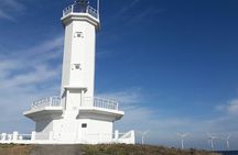 Full-day Private Taxi Tour West of Jeju island