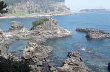 Full-Day Private Taxi Tour South of Jeju Island