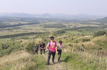 Full-Day Private Taxi Tour South of Jeju Island