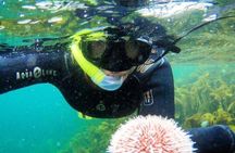Lofoten Grand Canyon Snorkeling Tour