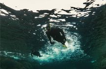 Lofoten Grand Canyon Snorkeling Tour