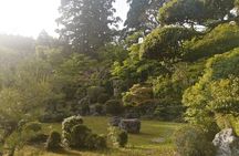 Enjoy a tea ceremony retreat in a beautiful garden