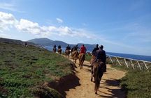 Alghero: horseback ride in Porto Ferro and Lake Baratz