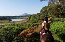 Alghero: horseback ride in Porto Ferro and Lake Baratz