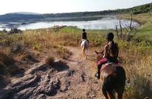 Alghero: horseback ride in Porto Ferro and Lake Baratz